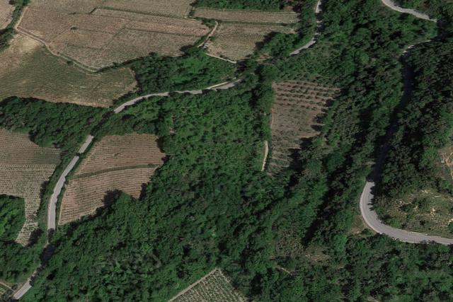 #20849 Diritto del livellario su terreno agricolo di 8920 mq in vendita - foto 3