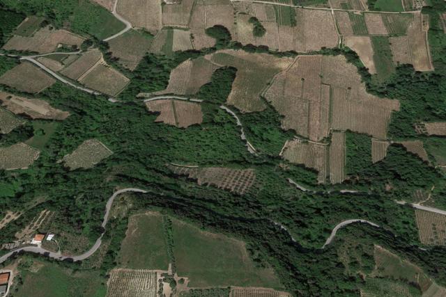 #20849 Diritto del livellario su terreno agricolo di 8920 mq in vendita - foto 4