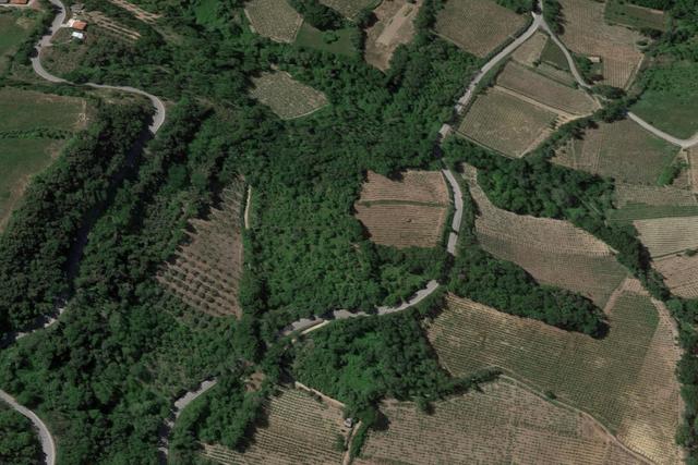 #20849 Diritto del livellario su terreno agricolo di 8920 mq in vendita - foto 5