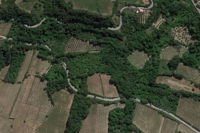 #20849 Diritto del livellario su terreno agricolo di 8920 mq in vendita - foto 6