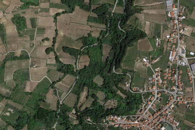 #20849 Diritto del livellario su terreno agricolo di 8920 mq in vendita - foto 7