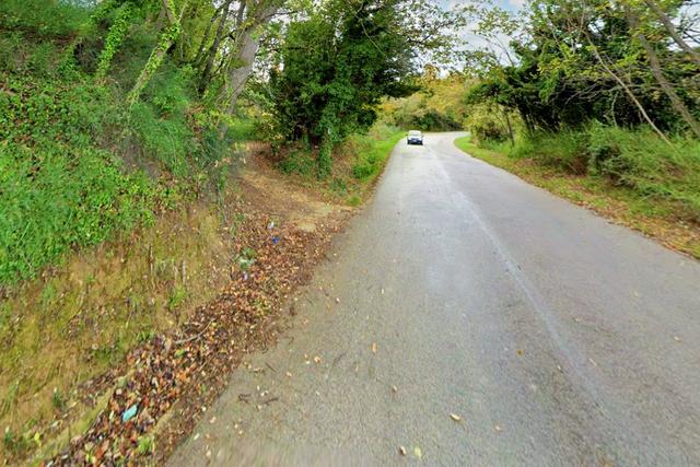 #20849 Diritto del livellario su terreno agricolo di 8920 mq in vendita - foto 9