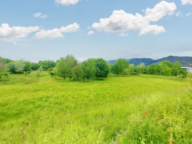 #20871 Terreno edificabile commerciale di 39.590 mq in vendita - foto 9