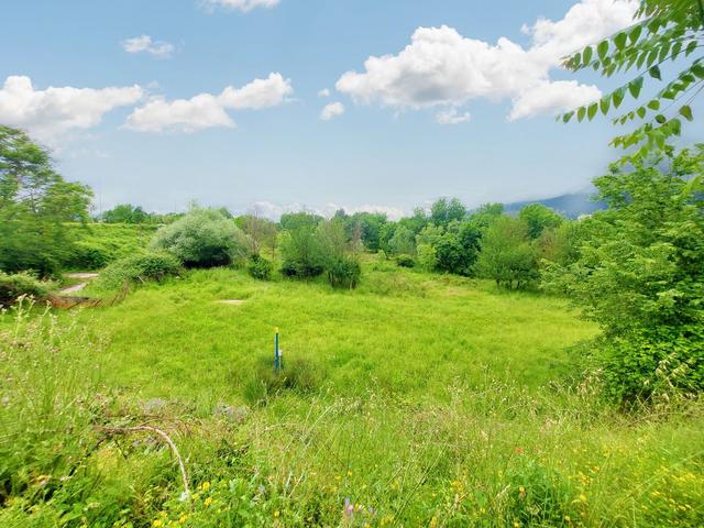 #20871 Terreno edificabile commerciale di 39.590 mq in vendita - foto 11