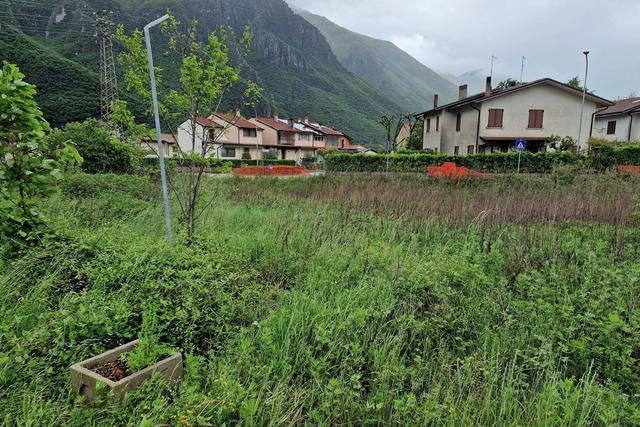 #20888 Terreno di 1451 mq in contesto pedemontano in vendita - foto 3