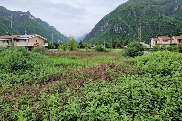 #20888 Terreno di 1451 mq in contesto pedemontano in vendita - foto 6
