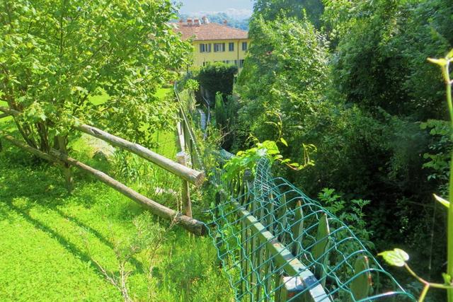 Agricoli in vendita