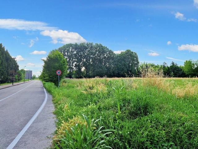 #20983 Terreno edificabile di 21.063 mq in vendita - foto 3