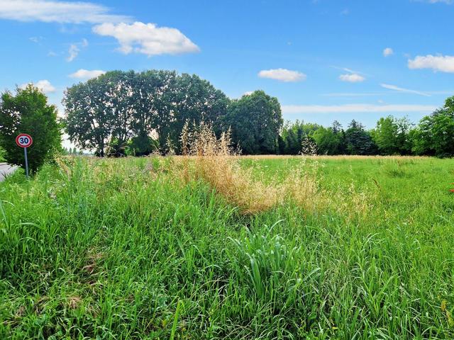 #20983 Terreno edificabile di 21.063 mq in vendita - foto 5