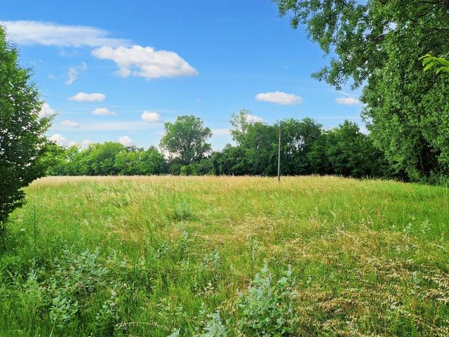 #20983 Terreno edificabile di 21.063 mq in vendita - foto 6