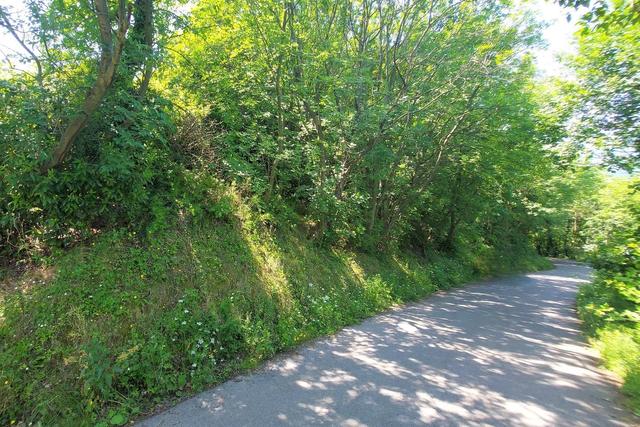 #21017 Appezzamento collinare per attività pastorale in vendita - foto 1