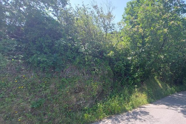 #21017 Appezzamento collinare per attività pastorale in vendita - foto 8