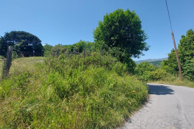 #21017 Appezzamento collinare per attività pastorale in vendita - foto 10