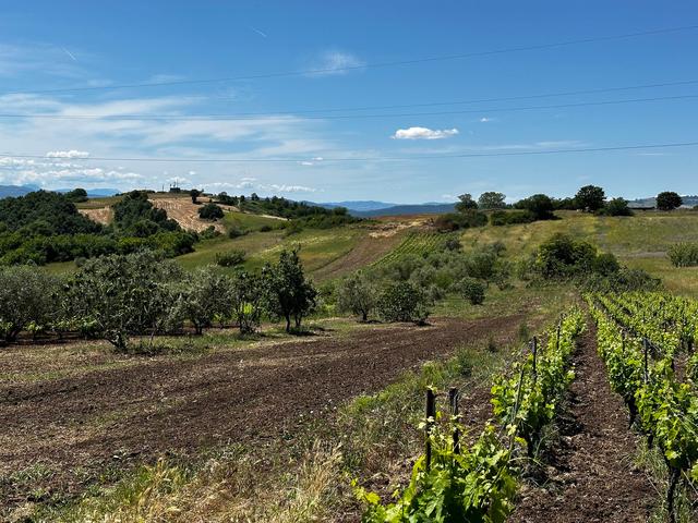 Agricoli in vendita