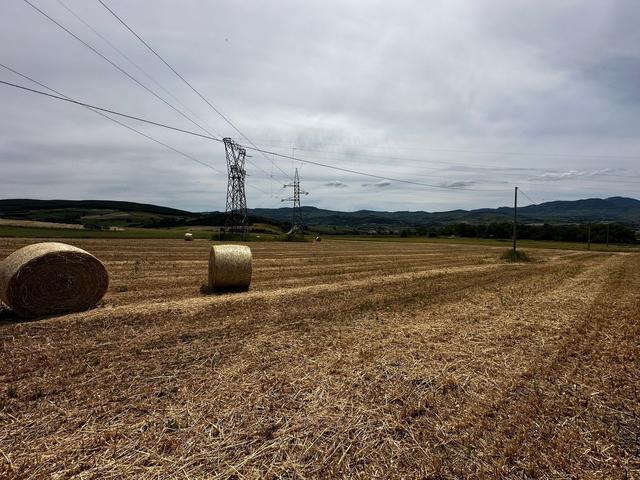 #21029 Terreni agricoli in vendita - foto 2