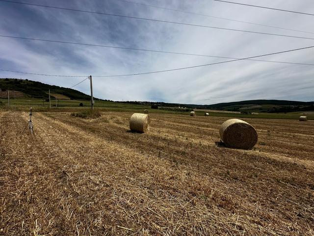 #21029 Terreni agricoli in vendita - foto 3