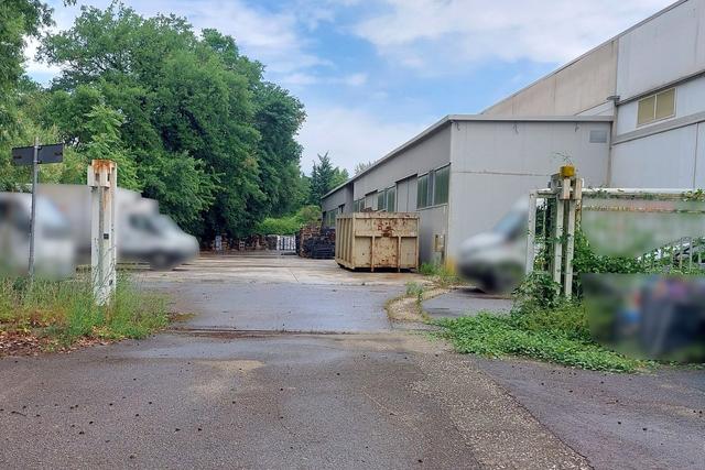 #21098 Porzione di opificio da frazionare (comparto 2) in vendita - foto 17