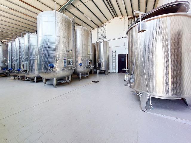#21124 Compendio immobiliare con fabbricati e terreni ad uso vitivinicolo in vendita - foto 7