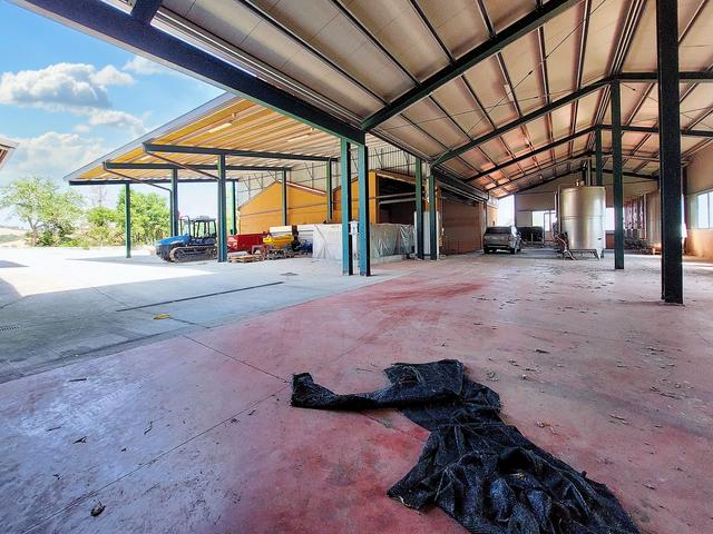 #21124 Compendio immobiliare con fabbricati e terreni ad uso vitivinicolo in vendita - foto 16