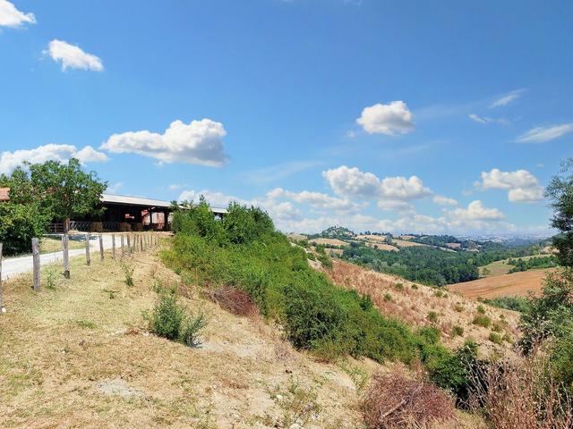 #21124 Compendio immobiliare con fabbricati e terreni ad uso vitivinicolo in vendita - foto 38