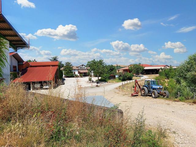#21124 Compendio immobiliare con fabbricati e terreni ad uso vitivinicolo in vendita - foto 40