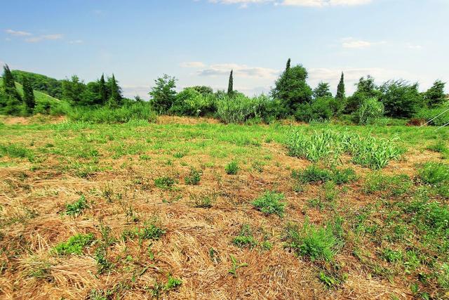 #21132 Terreno edificabile di 1149 mq e quota di area privata in vendita - foto 11