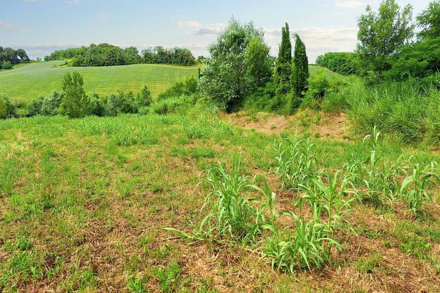 #21133 Terreno edificabile di 1294 mq e quota di area privata in vendita - foto 5