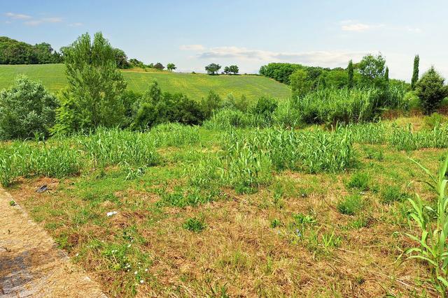 #21133 Terreno edificabile di 1294 mq e quota di area privata in vendita - foto 7