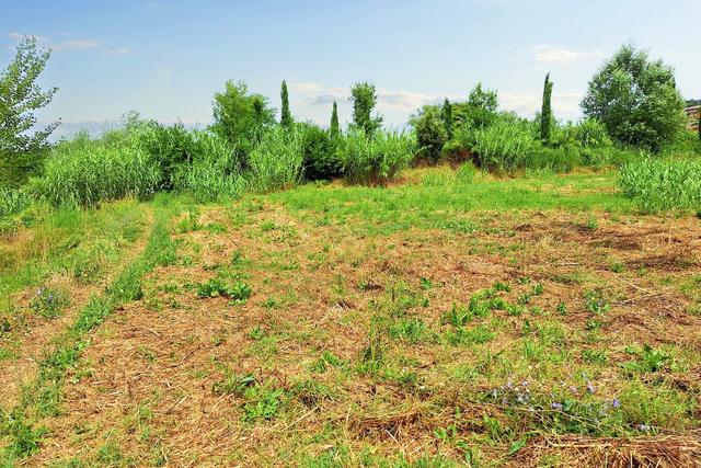 #21133 Terreno edificabile di 1294 mq e quota di area privata in vendita - foto 8
