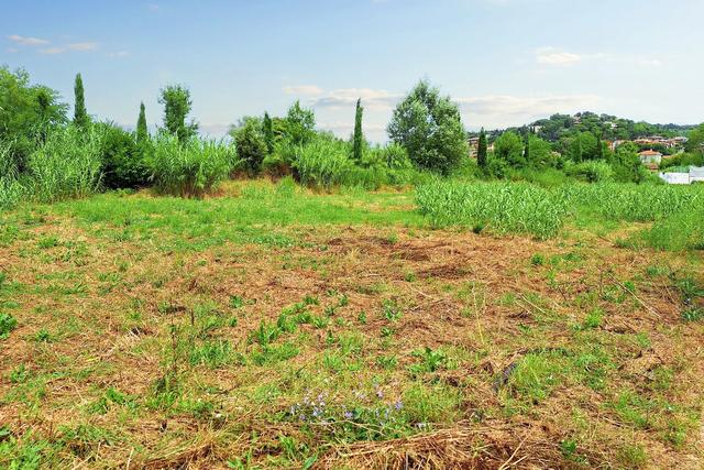 #21133 Terreno edificabile di 1294 mq e quota di area privata in vendita - foto 9