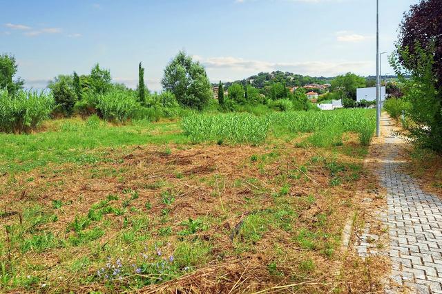 #21133 Terreno edificabile di 1294 mq e quota di area privata in vendita - foto 10