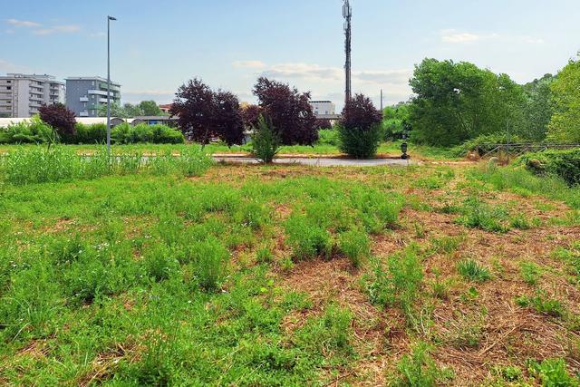 #21133 Terreno edificabile di 1294 mq e quota di area privata in vendita - foto 13
