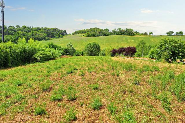 #21135 Terreno edificabile residenziale di 1349 mq in vendita - foto 4