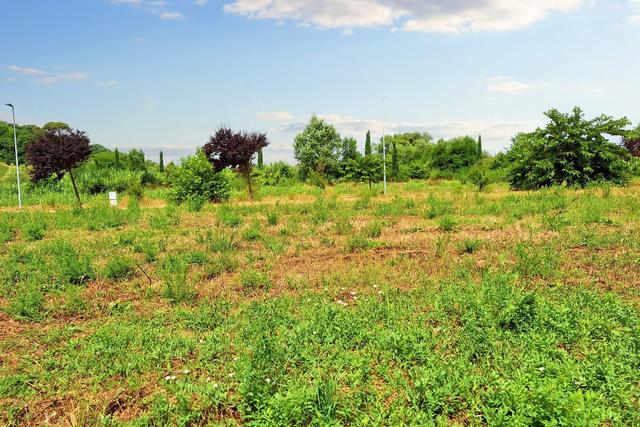 #21135 Terreno edificabile residenziale di 1349 mq in vendita - foto 6
