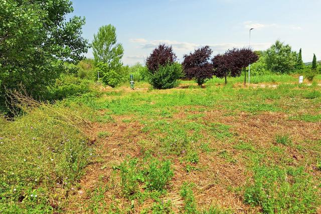 #21135 Terreno edificabile residenziale di 1349 mq in vendita - foto 8