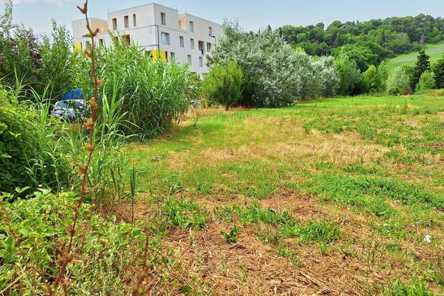 #21136 Terreno edificabile di 765 mq e quota di area privata in vendita - foto 7