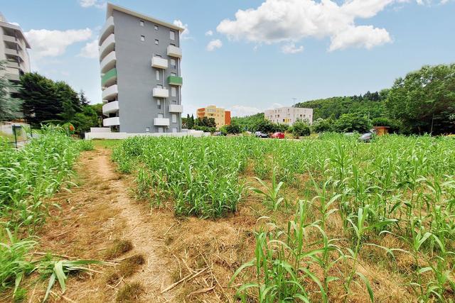 #21139 Terreno edificabile residenziale di 1236 mq in vendita - foto 9