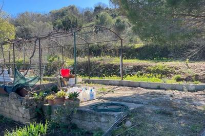 Agricoli in vendita