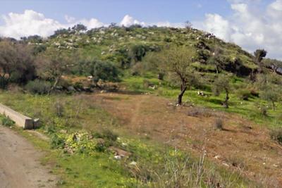 Agricoli in vendita