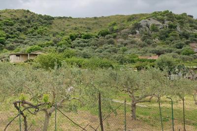 Agricoli in vendita