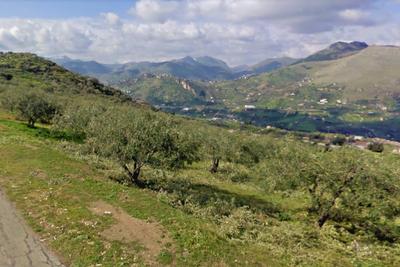 Agricoli in vendita