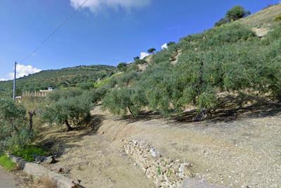 Agricoli in vendita