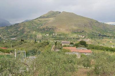 Agricoli in vendita