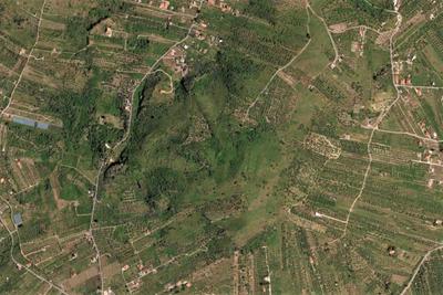 Agricoli in vendita
