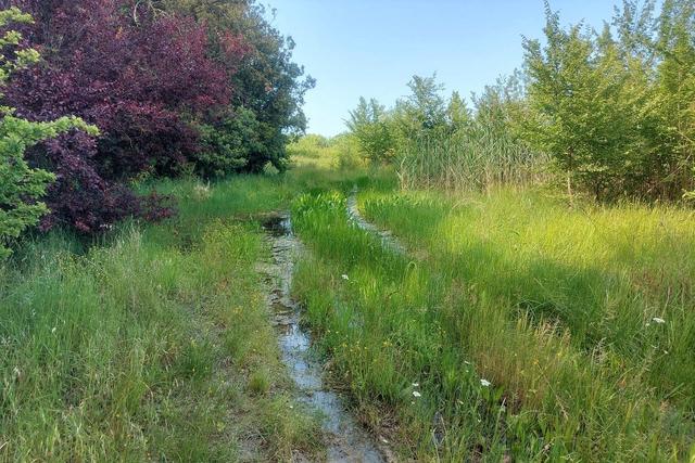 #21170 Area residenziale e turistico-ricettiva da bonificare in vendita - foto 11