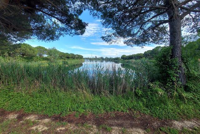 #21170 Area residenziale e turistico-ricettiva da bonificare in vendita - foto 16
