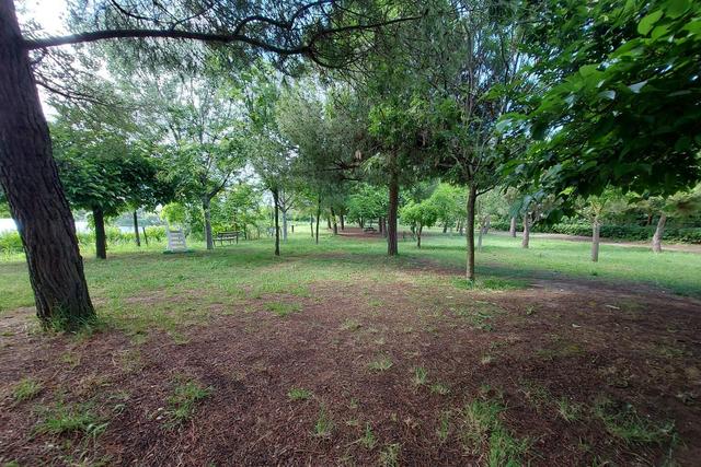 #21170 Area residenziale e turistico-ricettiva da bonificare in vendita - foto 17