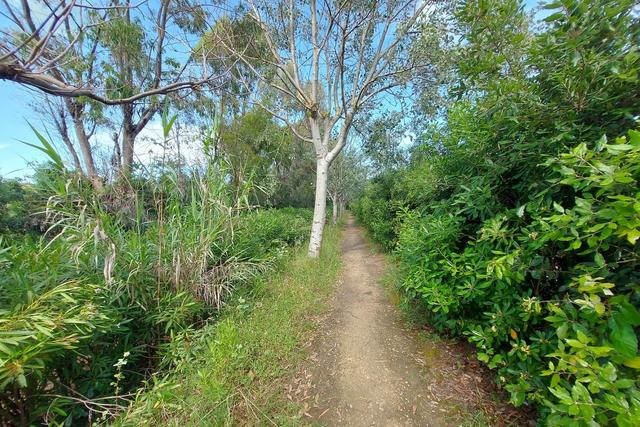 #21170 Area residenziale e turistico-ricettiva da bonificare in vendita - foto 18