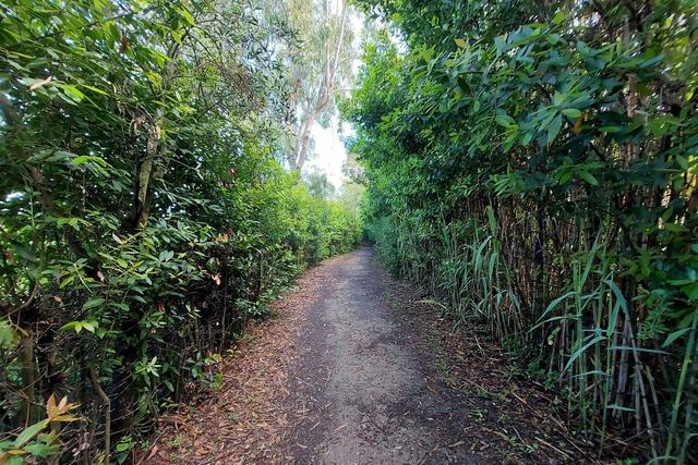 #21170 Area residenziale e turistico-ricettiva da bonificare in vendita - foto 24