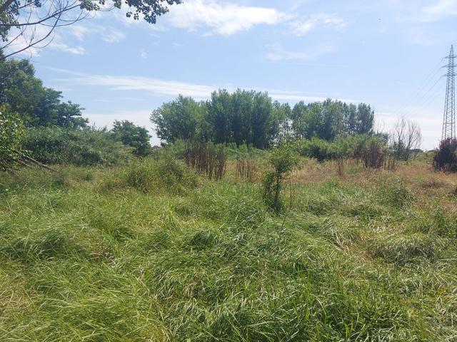 #21240 Terreno edificabile residenziale di 71.935 mq in vendita - foto 10